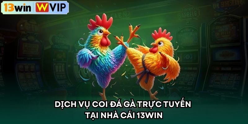 Dịch vụ coi đá gà trực tuyến tại nhà cái 13WIN