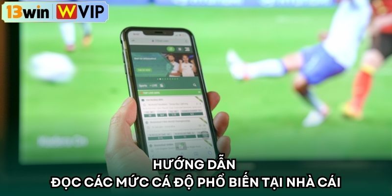 Hướng dẫn đọc các mức cá độ phổ biến tại nhà cái
