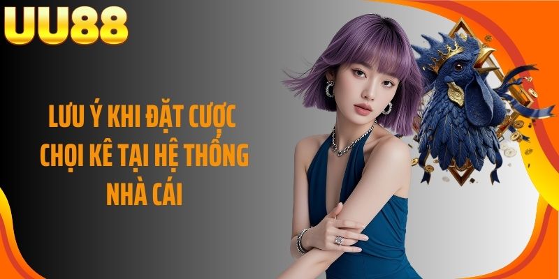 Lưu ý khi đặt cược chọi kê tại hệ thống nhà cái