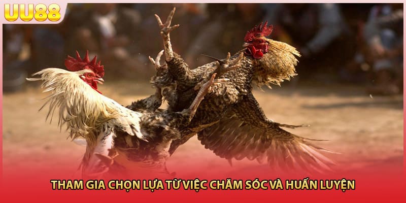 Tham gia chọn lựa từ việc chăm sóc và huấn luyện 